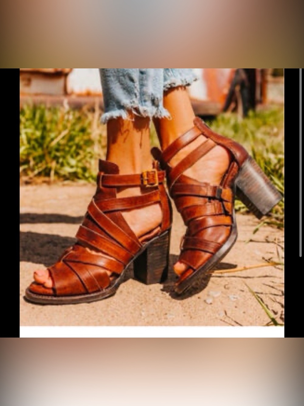 Freebird by Steven "Claw” Women's Brown Leather Strappy Block Heel Sandals